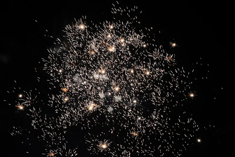 a bunch of fireworks are lit up in the night sky